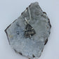 Landscape Rutile and sterling silver .925 (Pendant only)